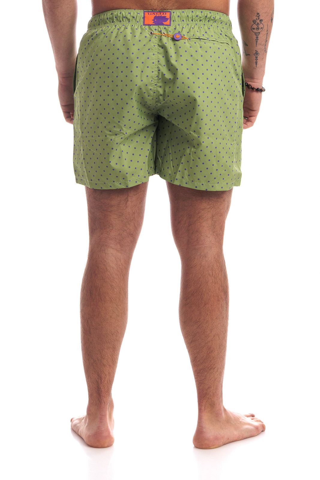 BOXER  POIS GALLO