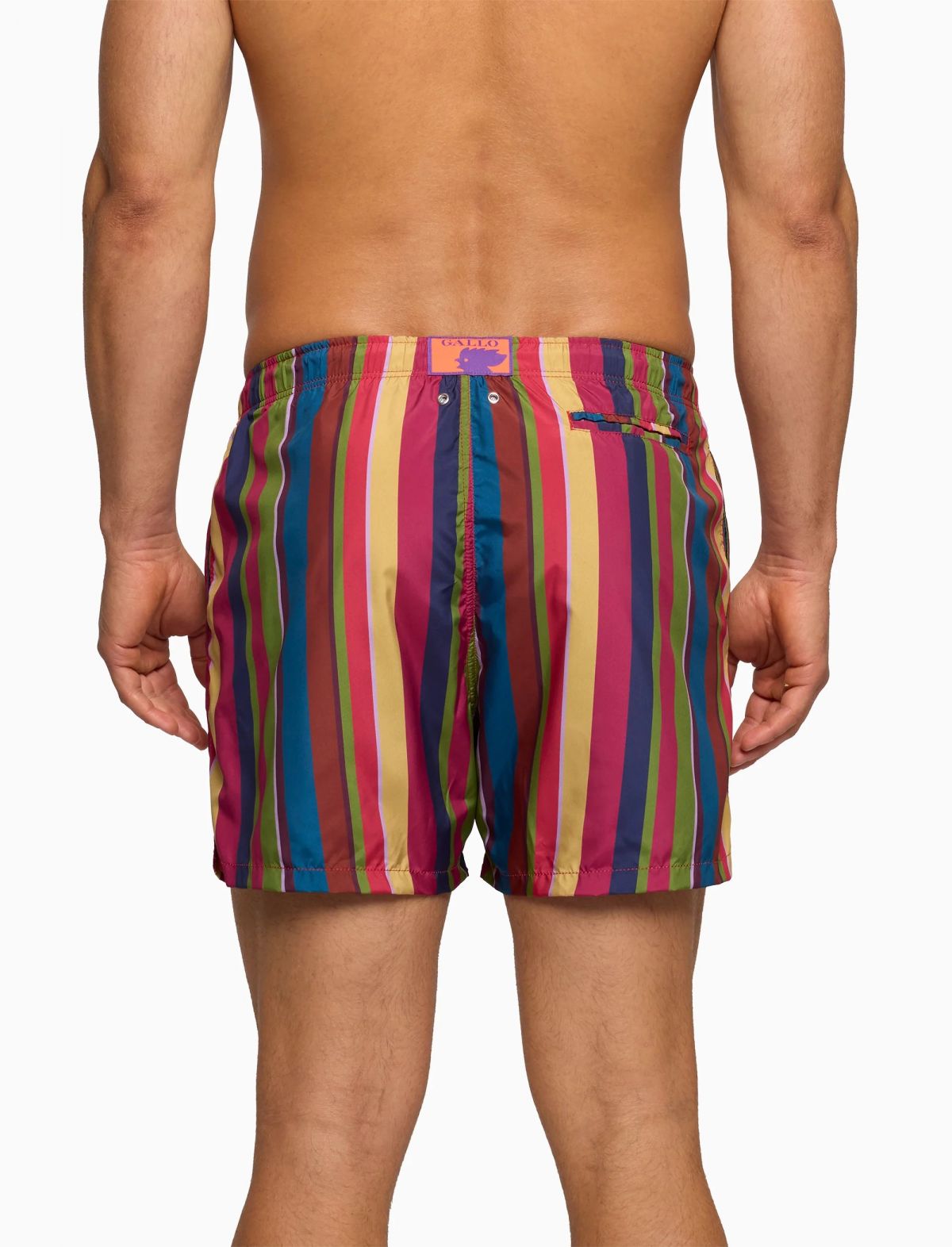 BOXER  STRIBES GALLO