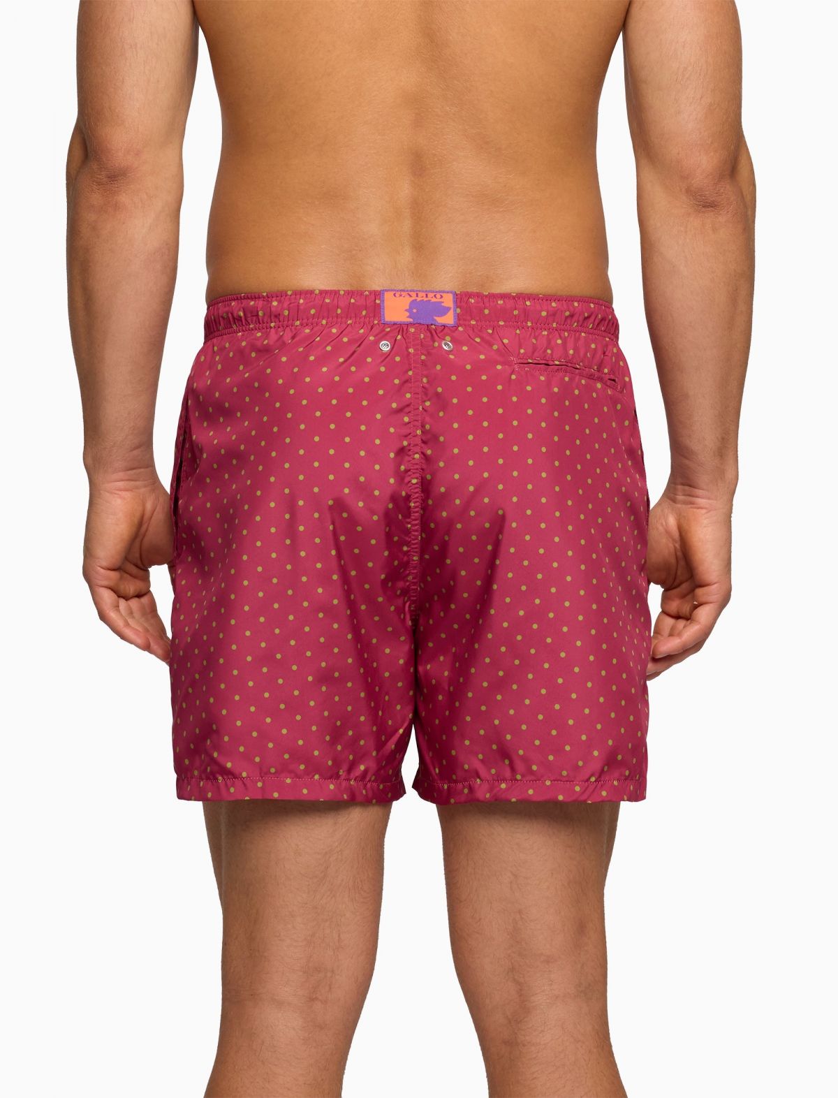BOXER  POIS GALLO
