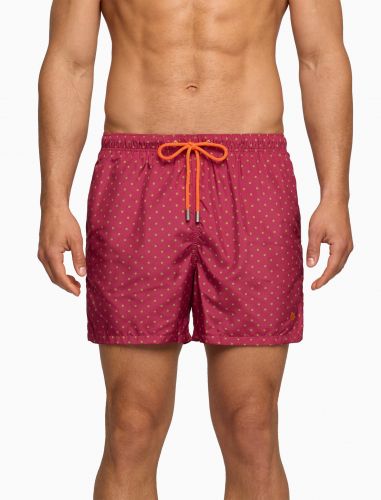BOXER  POIS GALLO